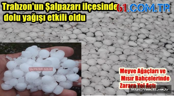 Trabzon'un Şalpazarı ilçesinde dolu yağışı etkili oldu